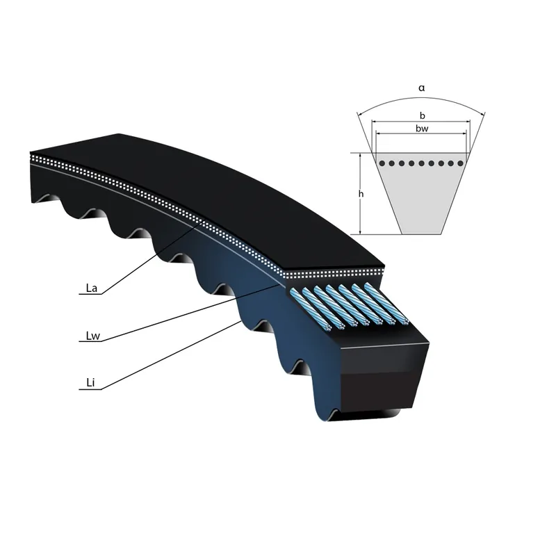 Řemen klínový Strongbelt 8x800 Li-X8 PTS Must-Have