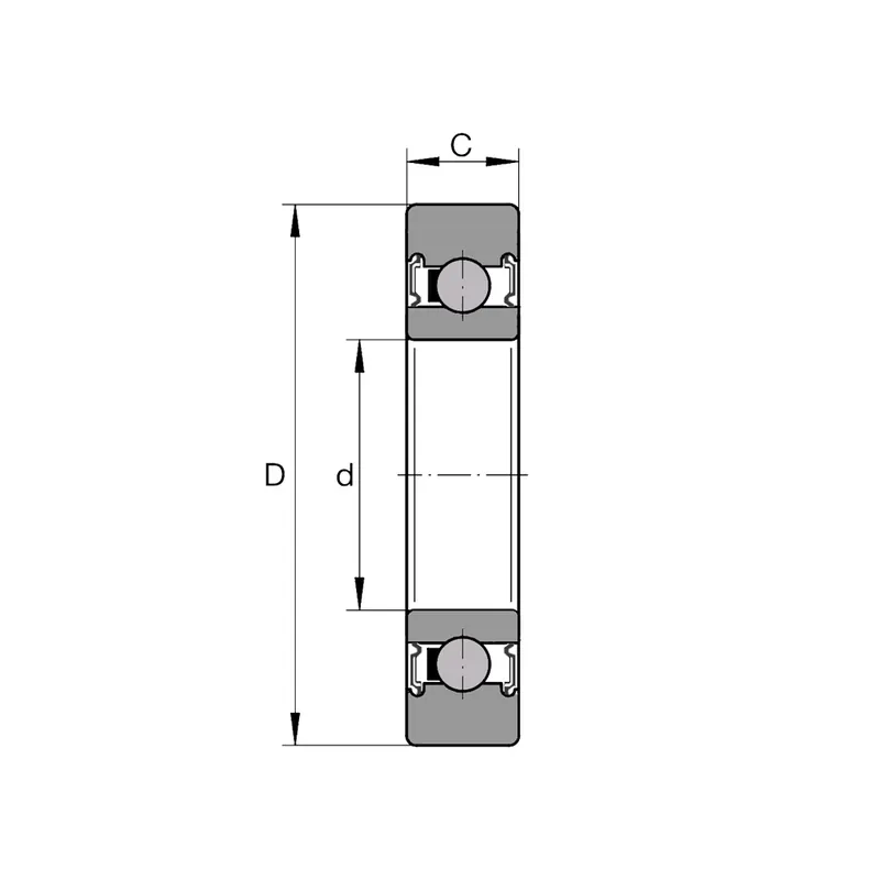 Bezpečná Platba INA LR 202 NPP – ložisko 15×40×11 mm