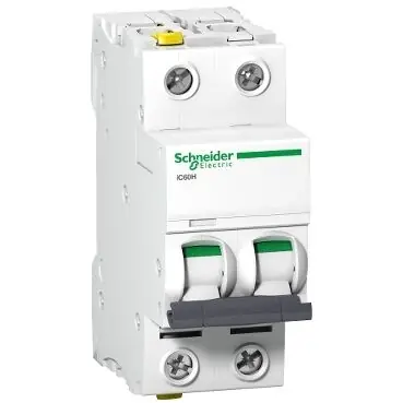 SCHNEIDER Jistič 20C/2 iC60H A9F07220 Horká Nabídka