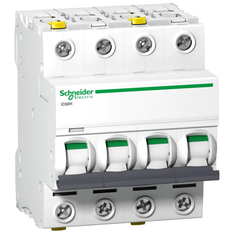 SCHNEIDER Jistič 25D/4 C60H A9F08425 Časově Omezené