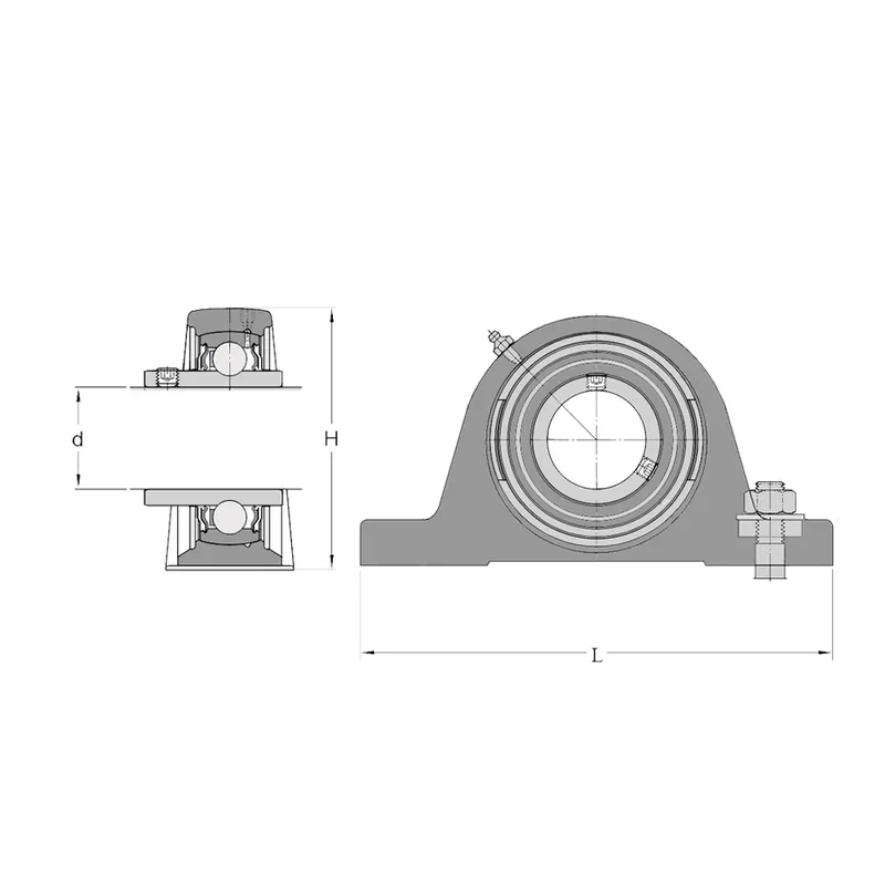 NTN M-UCP 209 D1 - DOMEK komplet – ložisko Expresní Doručení