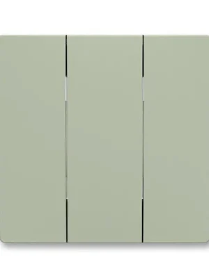 ABB 3559T-A00666 243 ZONI Kryt spínače trojnásobného olivová Přímo Od Výrobce